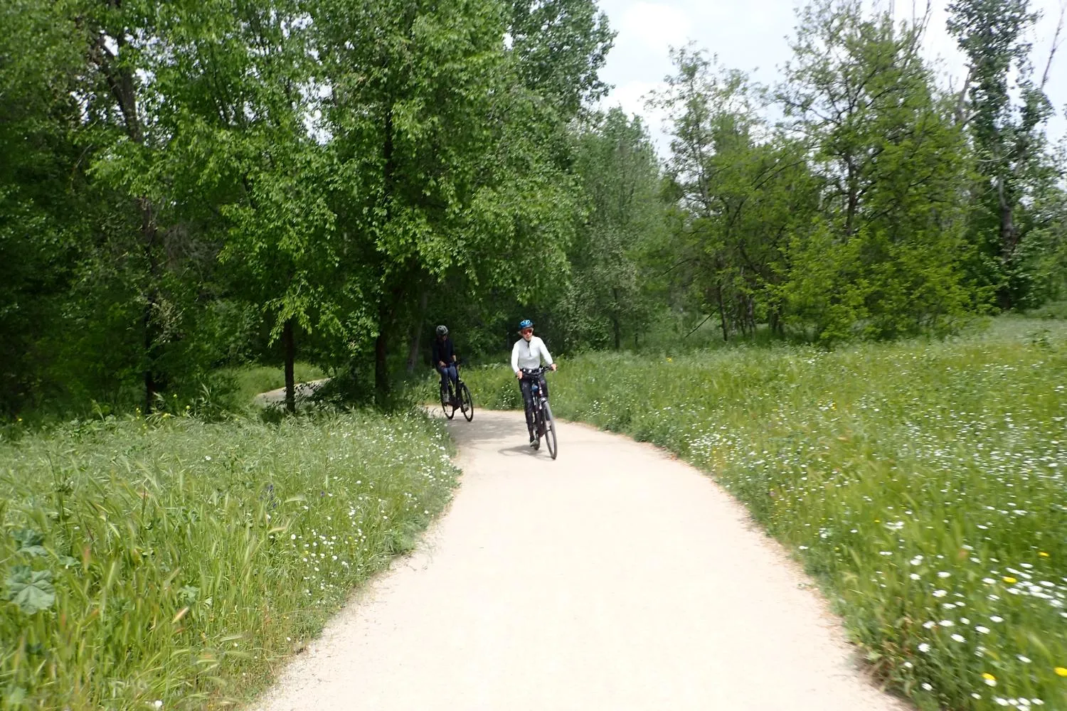 pardo day bike tour