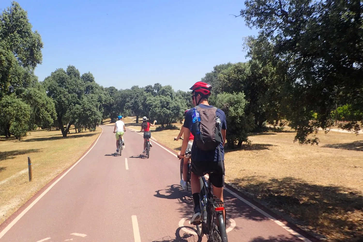 Madrid Rio Bike city Tour